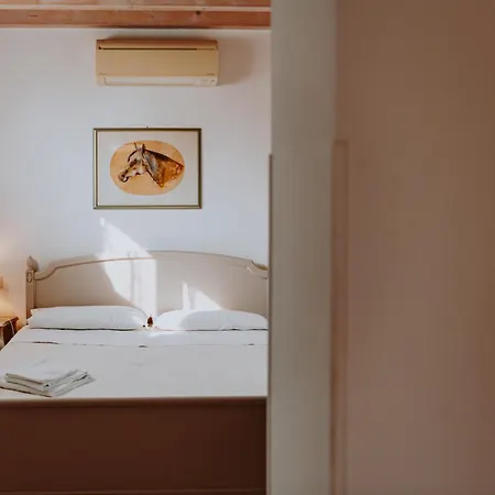 Apartament Campolivo *
