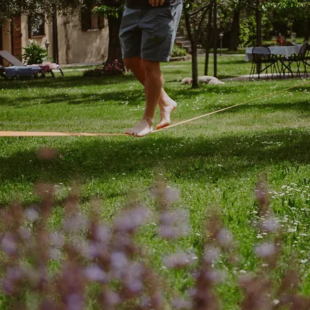 Apartment Campolivo *
